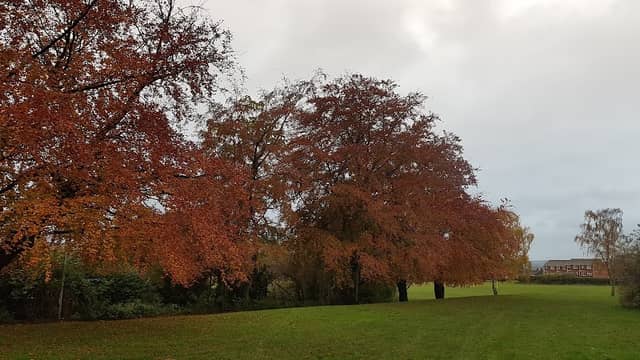 Worsbrough Dale Park - Image 2
