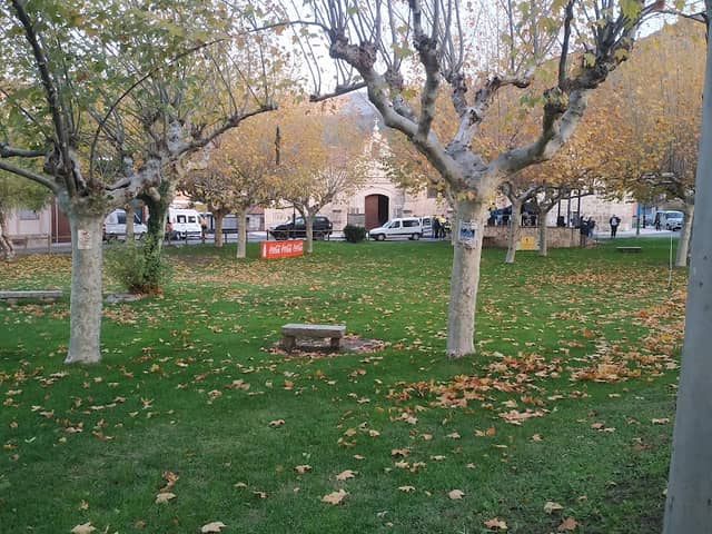 Yedra Park - Image 1