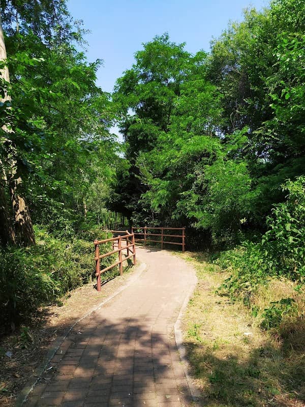 Parco del Brembiolo - Image 2