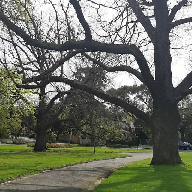 Read Gardens - Image 2