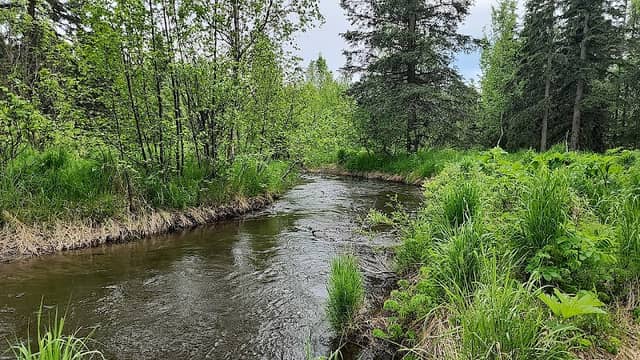Campbell Creek Park - Image 2