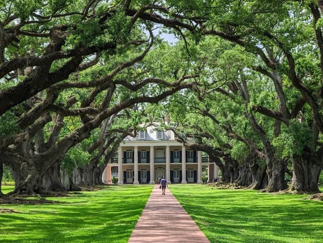 Oak Alley Plantation - Image 1