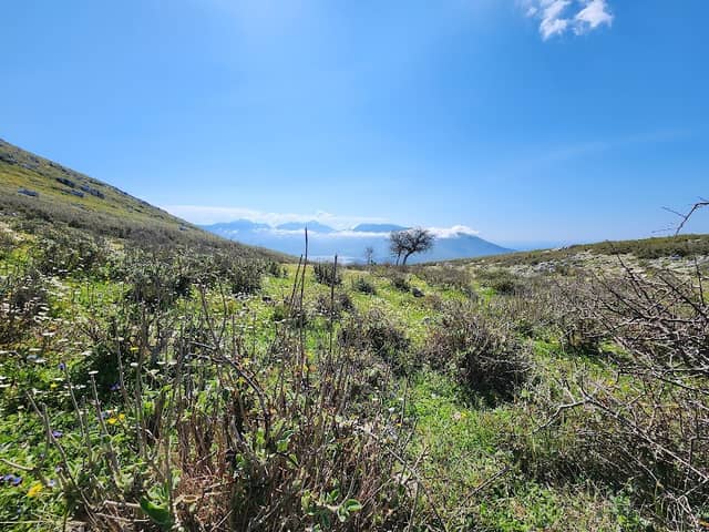Karaburun Reserve - Image 3