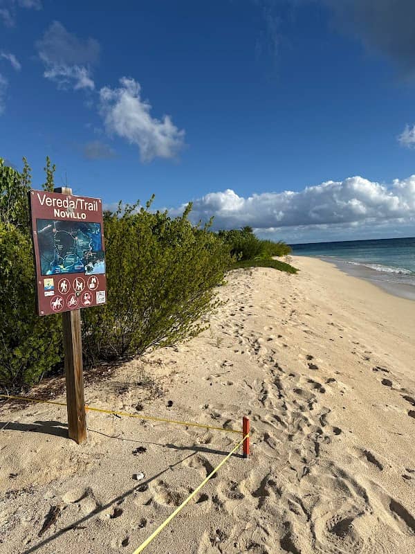 Playa Novillo - Image 2