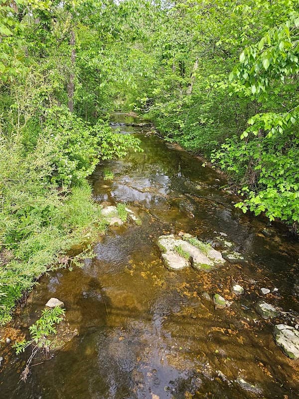 Bray Conservation Area - Image 2