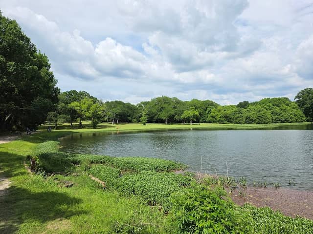 Lester Lorch Park - Dallas County Nature Preserve - Image 1