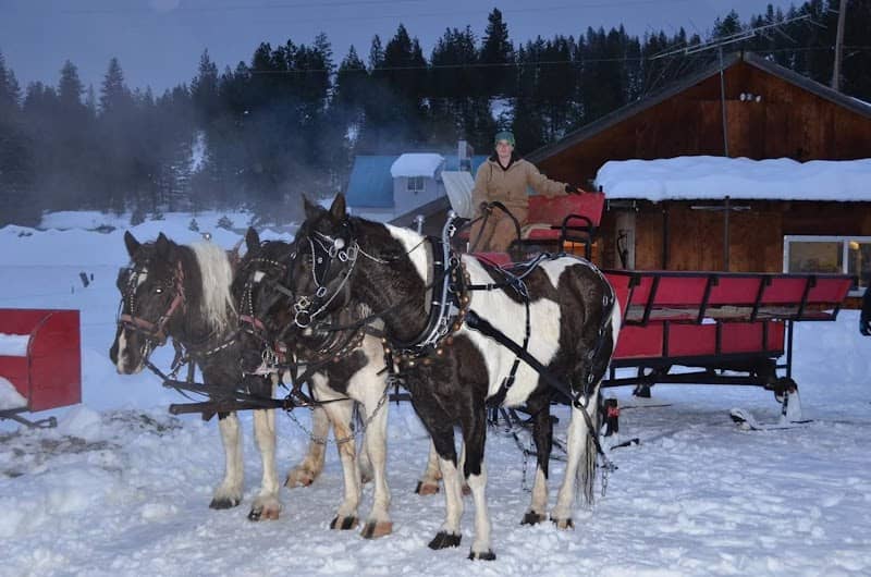 Idaho Sleigh Rides - Image 1
