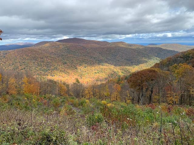 Hemlock Springs Overlook - Image 1