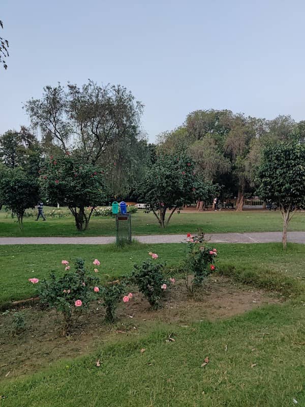 Rose garden - Image 1