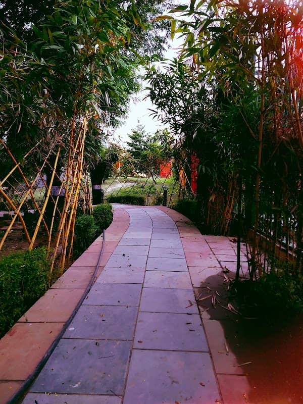Kalindi Kunj Park - Image 2