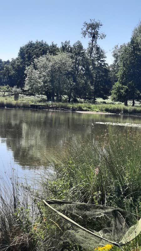 Normanby Pond - Image 1
