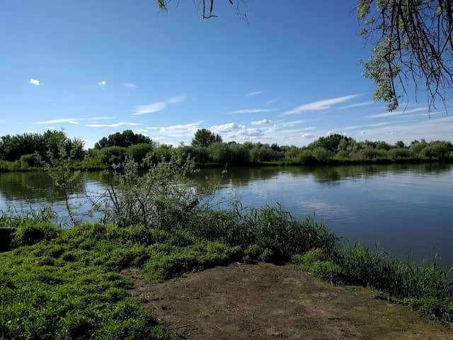 The Delta - Image 1
