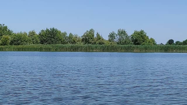 The Delta - Image 2