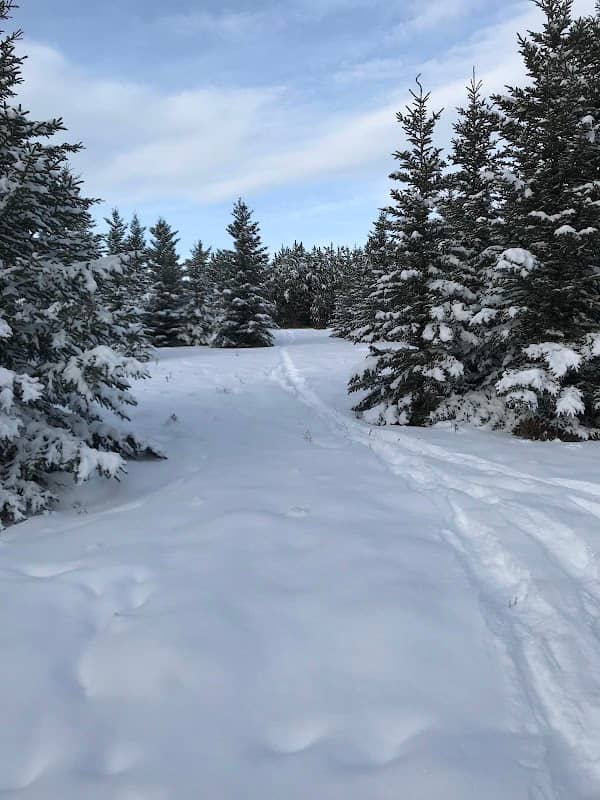 Leoppky Park Trailhead - Image 1