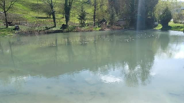 Ziegelweiher - Image 1