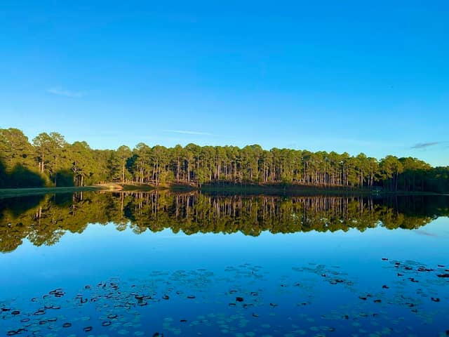 Jack Hill State Park - Image 1