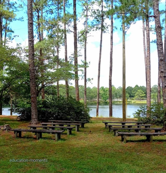 Jack Hill State Park - Image 2