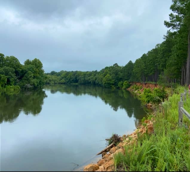 Audubon's Silver Bluff Sanctuary - Image 3