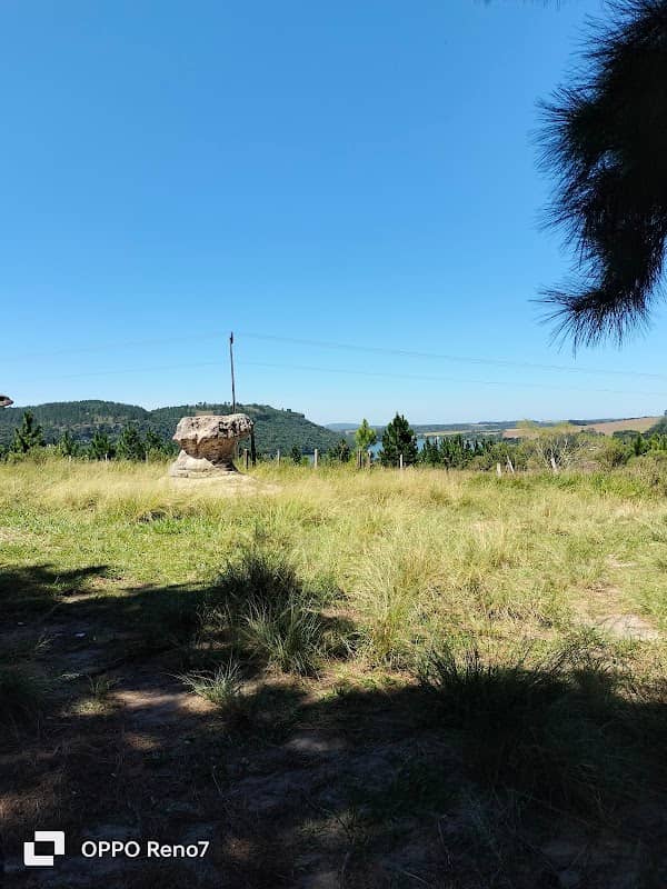 Tacinha de alagados - Image 1