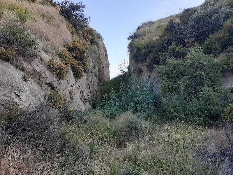 Beale's Cut - Image 5