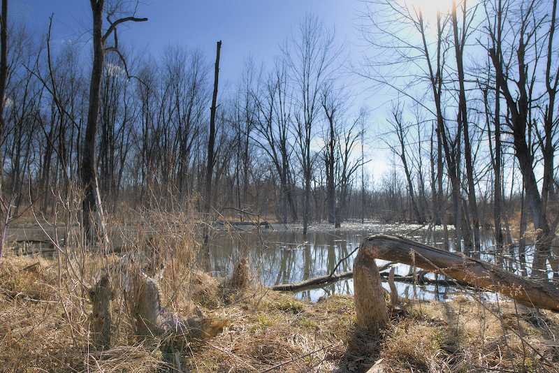 Shawnee Bottoms - Image 1