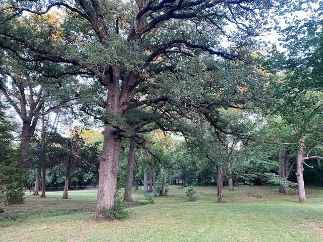 Thousand Oaks Park - Image 2