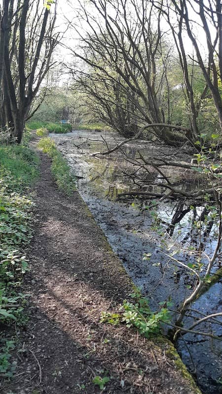 Canal remains - Image 1