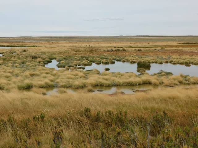 Mirador Laguna de los Cauquenes - Image 1
