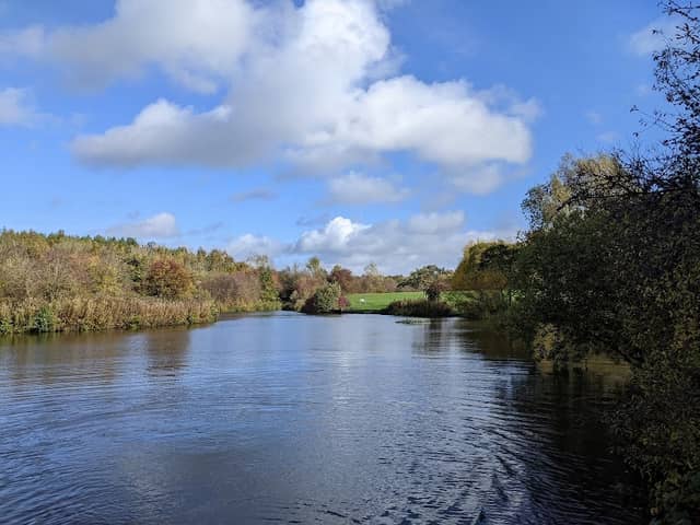 Bagworth Heath Woods - Image 1