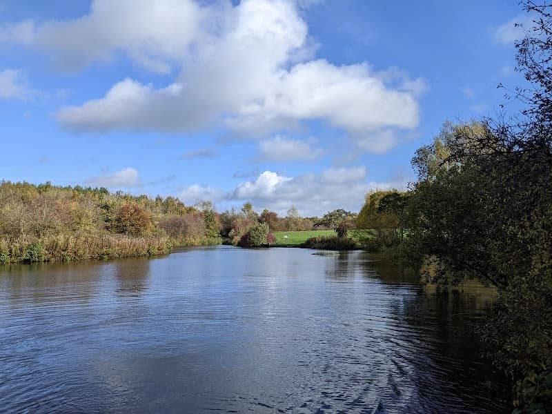 Bagworth Heath Woods - Image 1