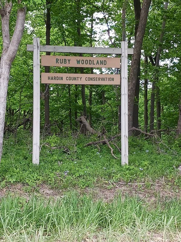 Ruby Woodland - Image 1