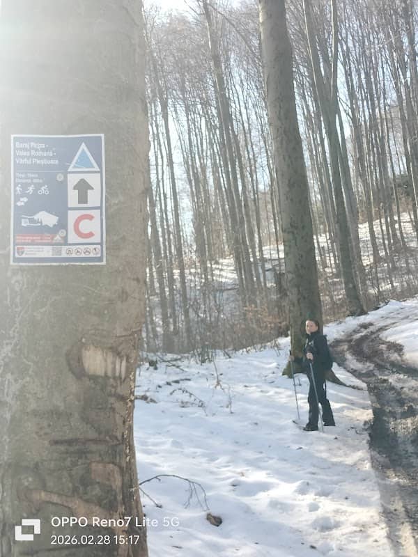 Adapost turistic - Image 1