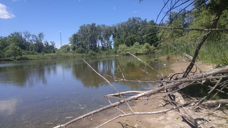 Wommack Pond - Image 2