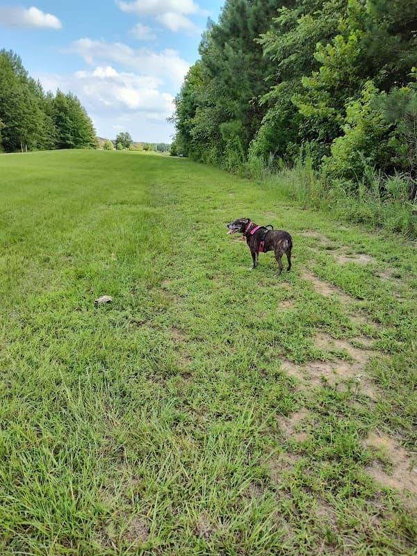 Woodlawn Park - Image 1