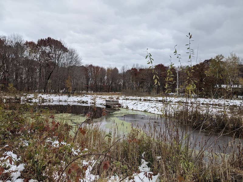 Lake Netta Nature trail - Image 3
