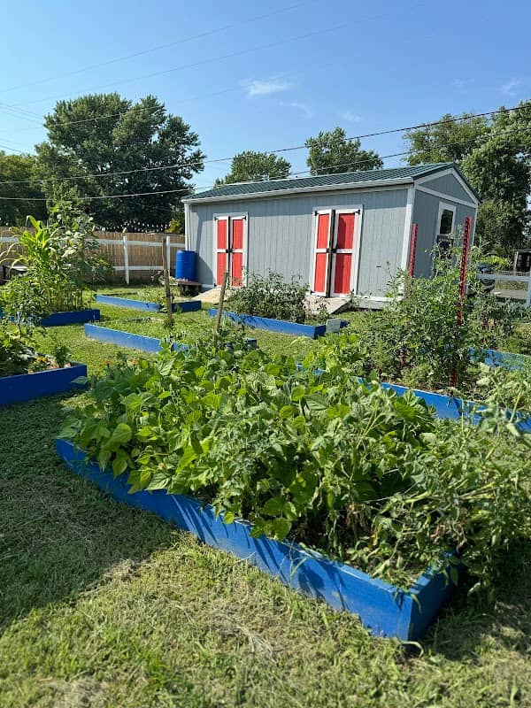 Blythe Oldfield Community Garden - Image 1