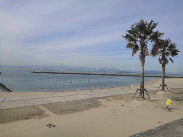 Taya Beach - Image 2