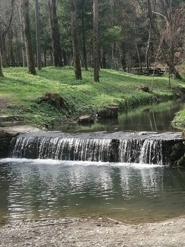 Parco della Fontina - Image 2