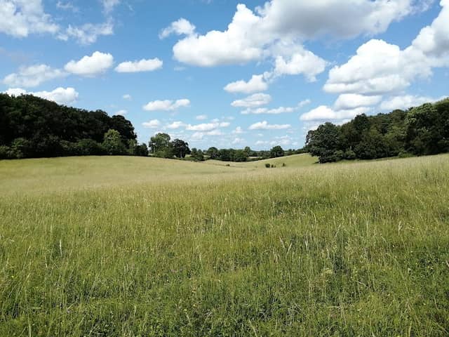 Robert's Field - Image 1