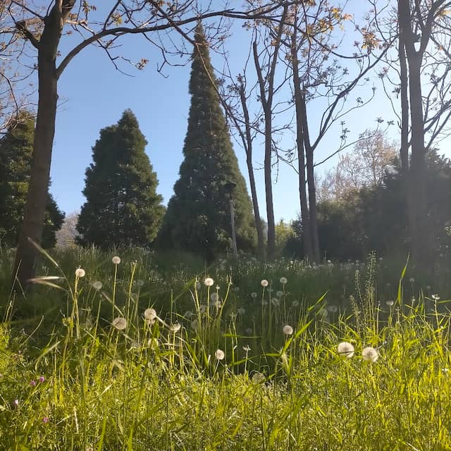 Parc Fontaine Saint-Ours - Image 2