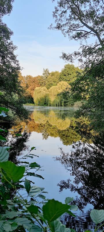 Schwanenteich im Stadtpark Burgdorf - Image 2