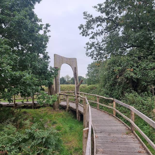 Hope Coppice - Image 2