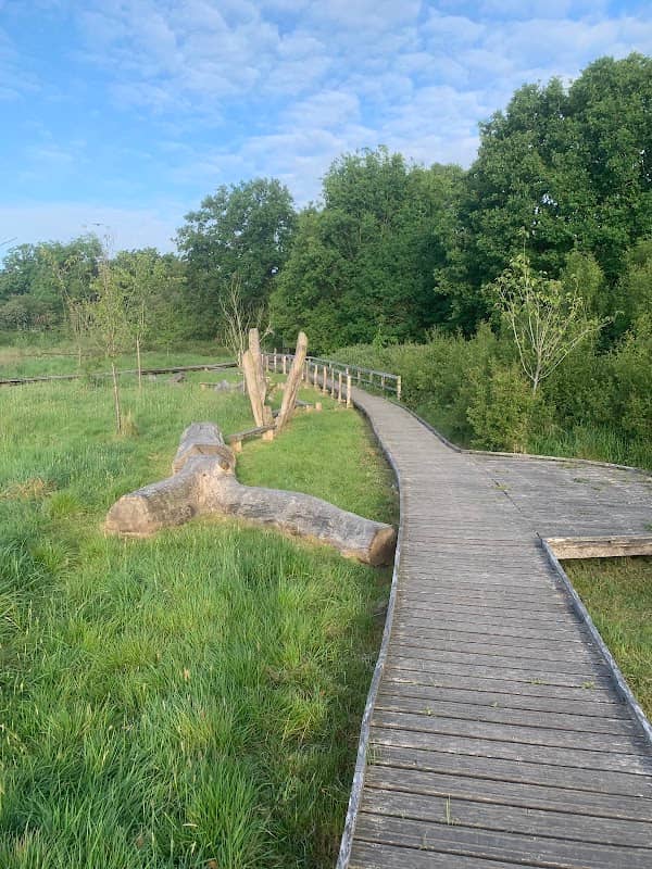 Hope Coppice - Image 1