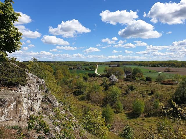 Billebjer - Image 1