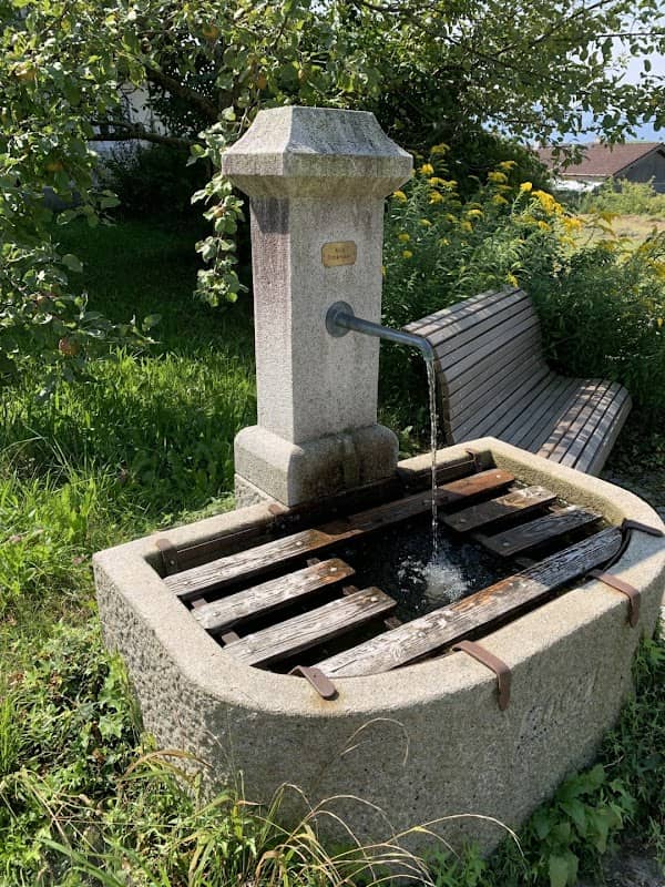 Dorfbrunnen - Image 1