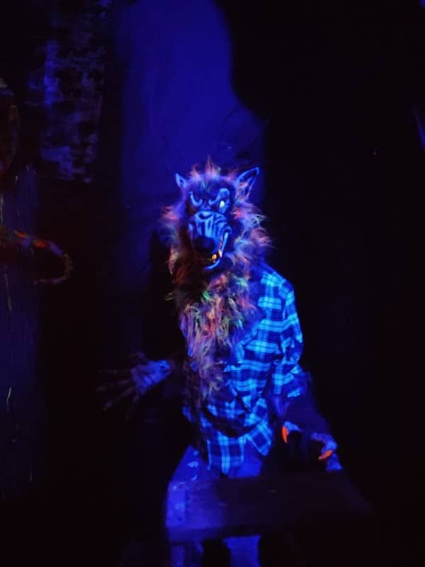 SCREAMZ HAUNTED EXPERIENCE - Image 2