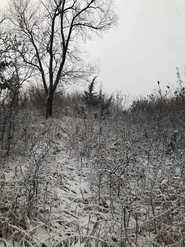 Musser Park - Image 2