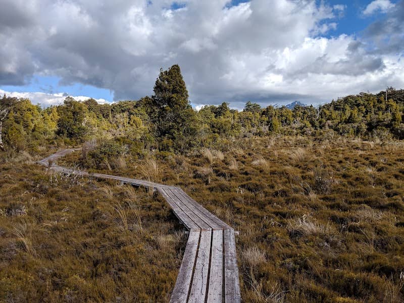 Whakapapanui walk at Tongariro National Park - Image 1