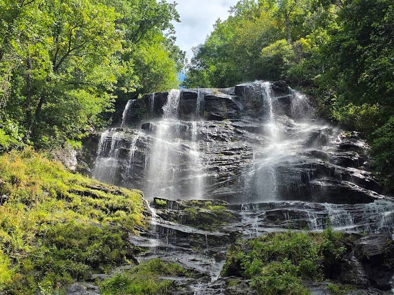 Chattahoochee-Oconee National Forest - Image 3