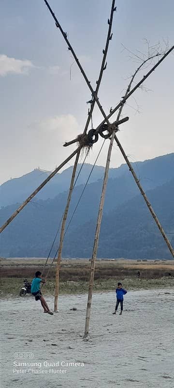 Bamboo swing - Image 1